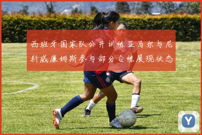 西班牙国家队公开训练亚马尔与尼科威廉姆斯参与部分合练展现状态